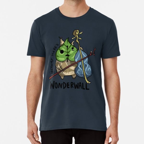 

anyway here wonderwall t shirt wonderwall violin windwaker wind waker zelda legend of zelda loz makar korok sport hooded sweatshirt hoodie