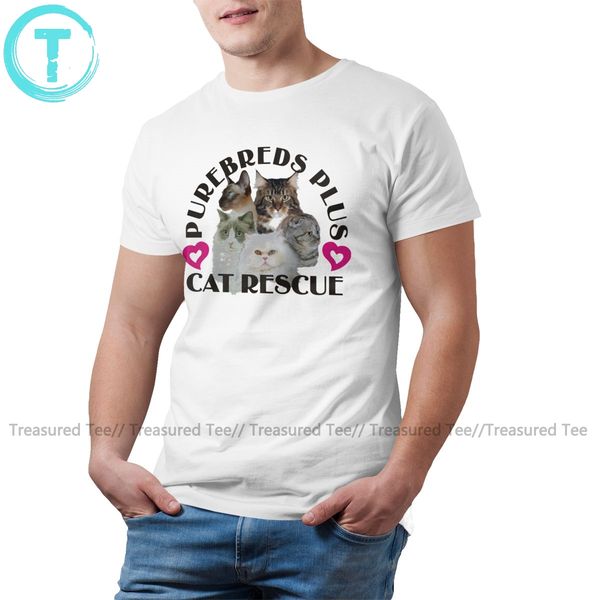 

scottish fold cat purebreds plus cat funny 100 cotton fashion big graphic men hoodie designers t shirts sweatshirt