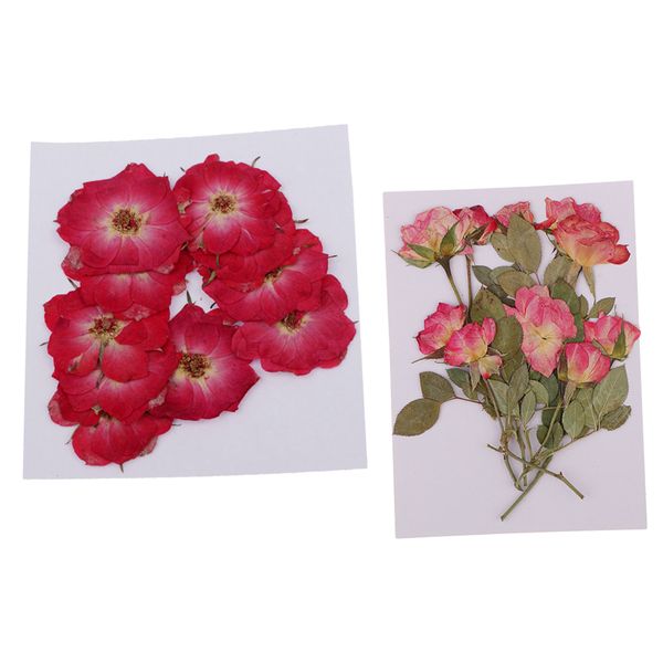 

20 pieces dried pressed flowers for diy scrapbooking phone case arts crafts