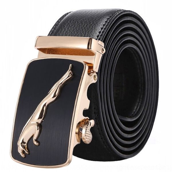 

qqpse jaguars"animalbelt price low"animal low jaguars belt belt price kr9qa, Black;brown