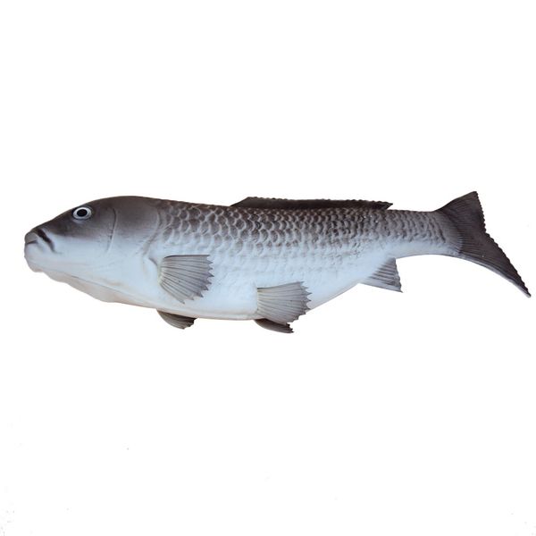 

artificial realistic freshwater carp imitation model toy pretend food grey
