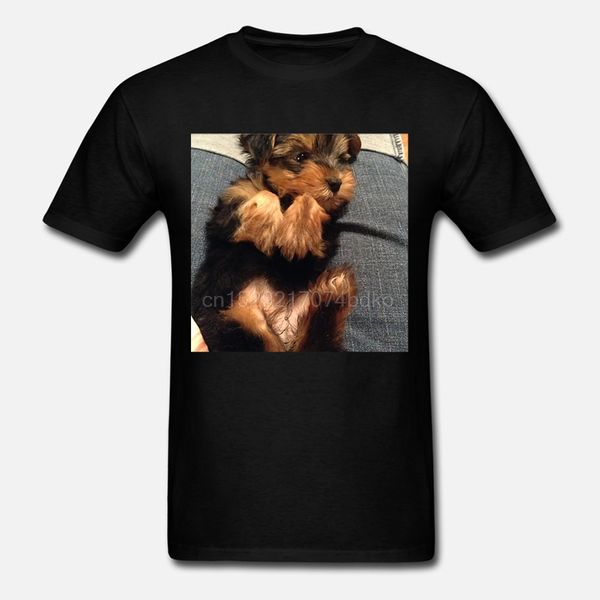 

men cute yorkie puppy dog hoodie designers t shirts sweatshirt