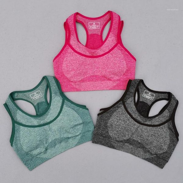 

gym clothing vital rise seamless yoga bra women fitness cropped padded push up double layer sports workout active wear1, White;black