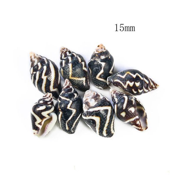 

5 10pcs natural shell seashell for pgraphy decor home room office table bedrooms fish tank decor beach party diy landscap h bbyzqc