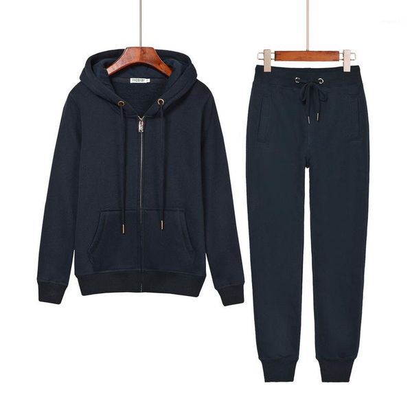 

2020 women's brand velvet fabric sportswear velvet zipper suit women's suit hoodie and trousers size s-xxl t001, Gray