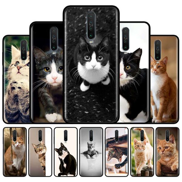 

the cute cat mobile phone case is redmi 9 8 8a 7 7a 6 6a 9a 9c k20 note 8 pro 8t 9s 9 pro max silicone soft shellvfe1