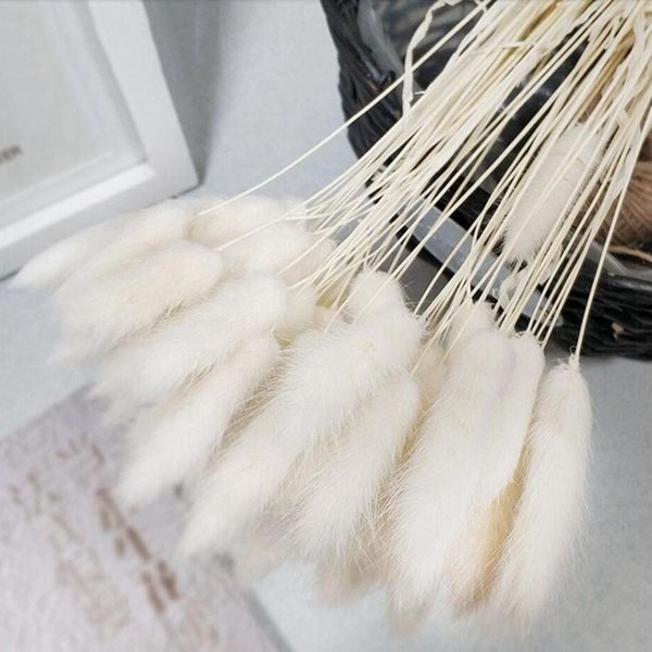 

30pcs gradient lagurus ovatus natural dried flowers bouquet diy wedding home christmas decoration rabbit tail grass real jlltgh
