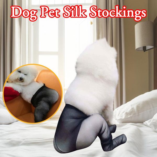

dog apparel pets make fun of walking their dogs and turning heads in stockings