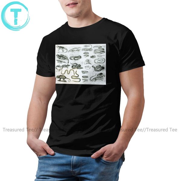 

chameleon reptiles serpents and lizards graphic fun beach mens short sleeves hoodie designers t shirts sweatshirt