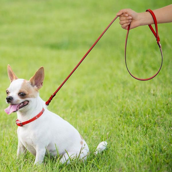

leather braided dog leash pet puppy walking training lead pets dogs leashes belt for small medium large dogs traction ro jlltnd