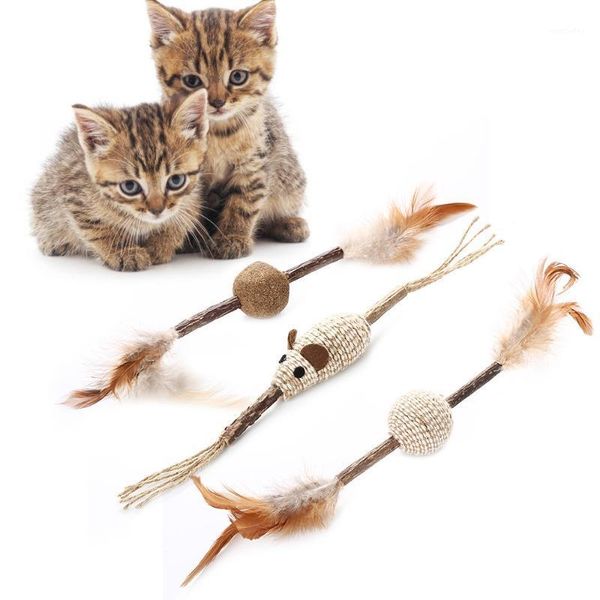 

cat toys cats kitten chew toy catnip matatabi molar sticks dental health clean teeth and remove tartar pet 20211