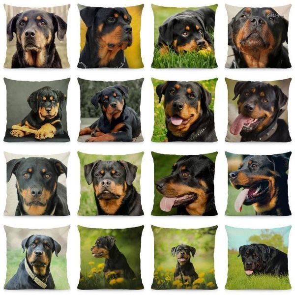

xunyu cute rottweiler dog cushion cover animal pillow case home decoration sofa decor 45x45cm dwg0311