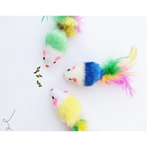 

colorful feather grit small mouse cat toy for cat feather funny playing pet dog cat small animals feat jllbop eatout