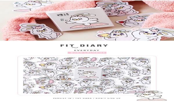 

потеря веса кролика diary декоративные наклейки клей наклейки diy украшения diary канцелярские наклейки дети подарочные sqcaux ppshop01