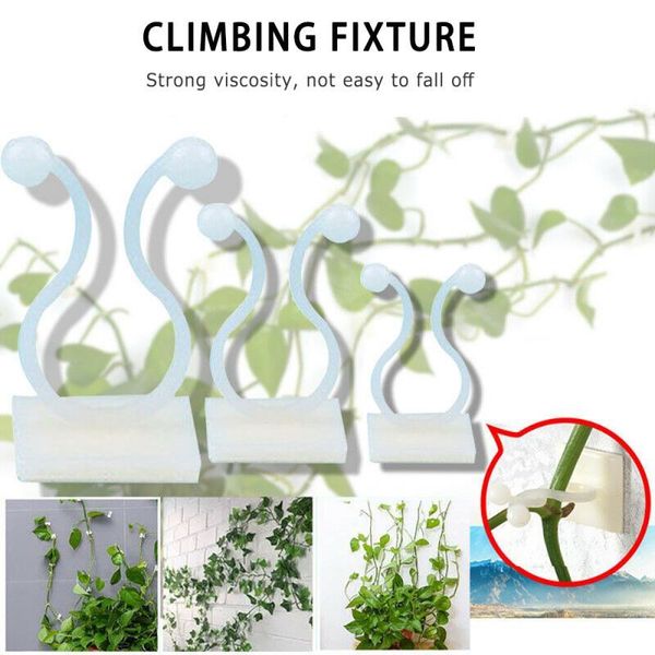 3 Dimensioni Invisible Rattan Plant Plant Clip Clip Clip Vines Fixture Wall Sticky Hook Holder Forniture da giardino 1PC C0125
