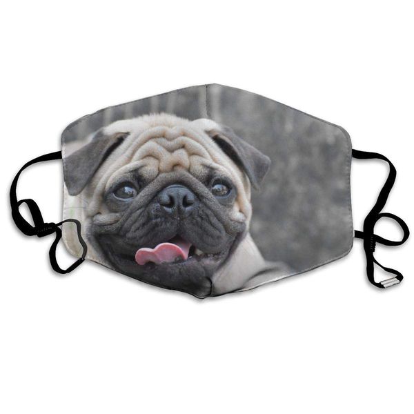 

fashion anti dust outdoor mouth mask with adjustable ear loops, warm windproof pug dog face masks