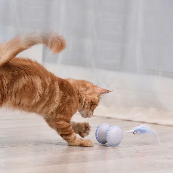 

выдвижной cat игрушки смешные придерживайтесь кошки teaser wand котик красочные spring tube pet действие интерактивные игрушки свободный dhl