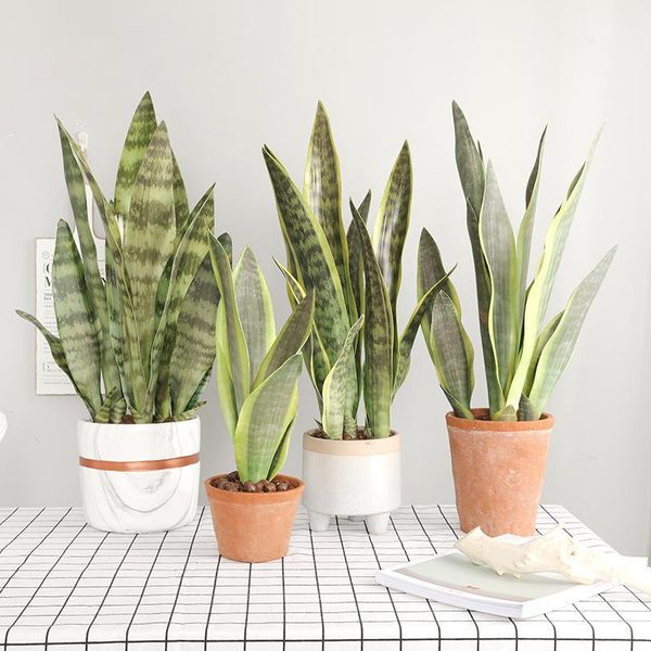 

fake desert plants artificial flower sansevieria trifasciata simulation succulent agave plant home office shop garden decor1