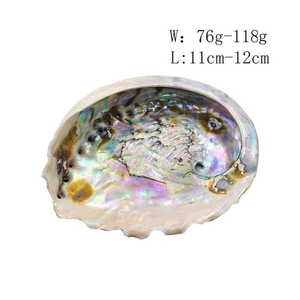 

11 12cm seashells natural abalone shells ocean home decor diy nautical wedding decoration soap holder shell for jewelry making h jllewv