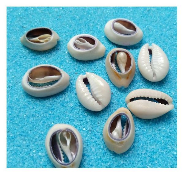 

50pcs light gray natural sea shell loose beads accessories for diy bracelets ornaments home fish tank conch qyljgp