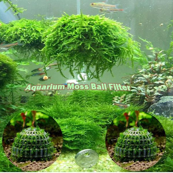 

aquarium marimo moss ball live plants filter for java shrimps fish tank decorations & ornaments