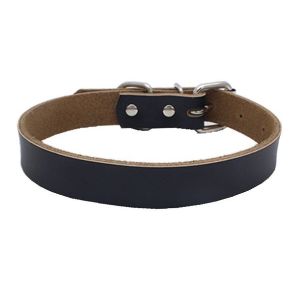 

dog chain fashion collars pet supplies cat leashes accessories iron sheet stainless steel sturdy durable 14 5br f2