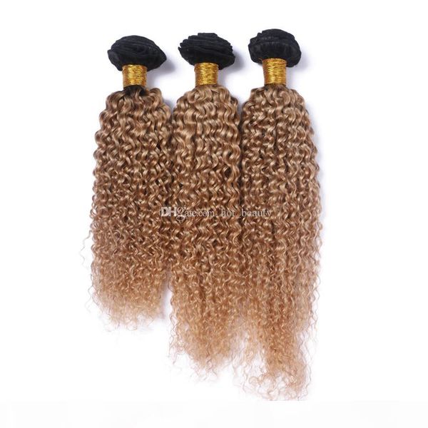 

unprocessed human virgin hair deep curly wave 3 bundles ombre color tb 27 dark roots deep curly peruvian hair extension 300g, Black