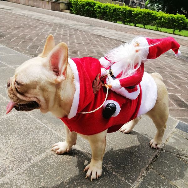 

outfit stock dogs santa cosplay in christmas carnival costumes apparel party dressing up clothing pet xmas clothin