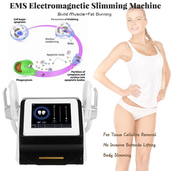 Corporal contorno emslim emsllim emagrecimento máquina estimulador muscular eletromagnético gordura queima de formação de equipamentos de beleza