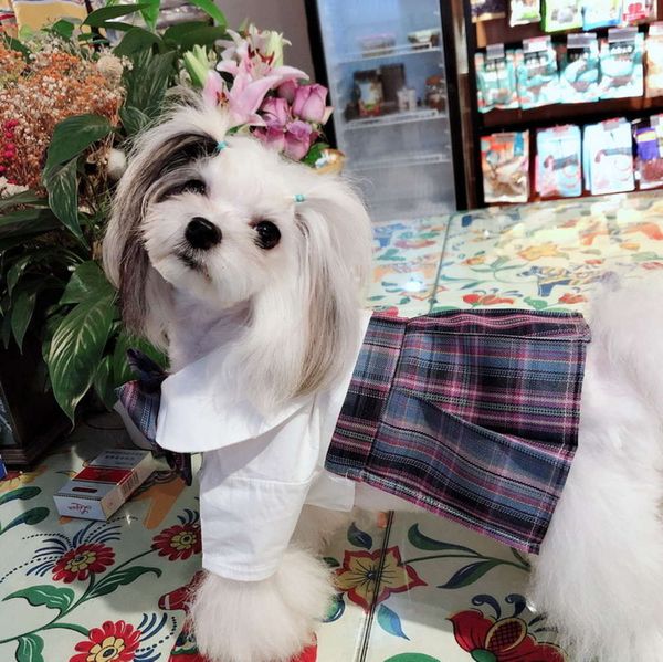 

pet jk uniform pleated skirt dog cat cloth chenery teddy gentle knife electronic competition girl