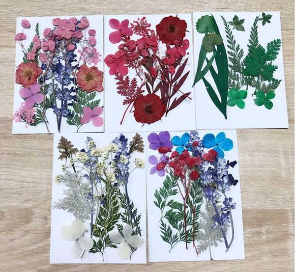 

decorative flowers & wreaths dried for candles pressed diy preserved flower decoration home mini scarpbooking handmade1