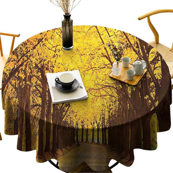 

wipeable round table cover botanical garden autumn leaves in the fall linden alley in kiev ukraine image