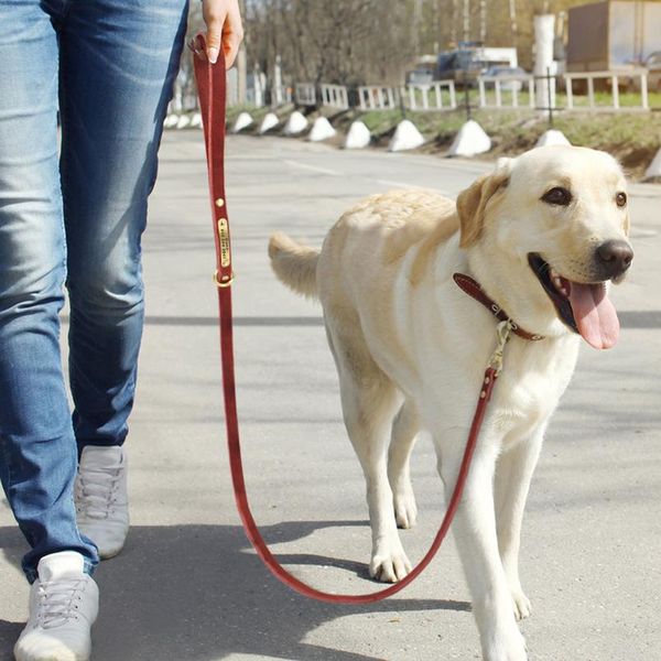 

120cm dog leash custom leather dog leash nameplate id tag collar lead pet walking lead for small medium large dogs k9 sqcrrf