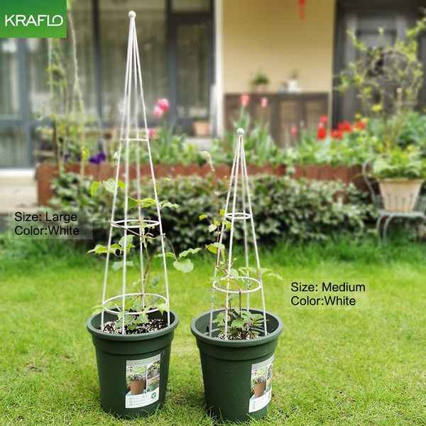 

kraflo tools balcony tomato vine shelf hoya carnosa gardening climbing frame clematis dioscorea strydomiana iron taper climbing flower stand
