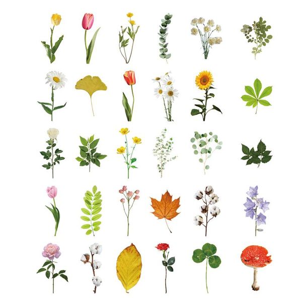 

xinaher 30 шт. лот лот завод коллекция цветочный лист форма открытка открытка открытка открытка рождественская открытка день рождения подаро