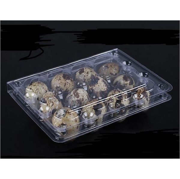 

wholwsale 12 holes creative quail egg containers plastic egg boxes d28mm/h39mm 1500pcs/lot fr jllbxc fight2010