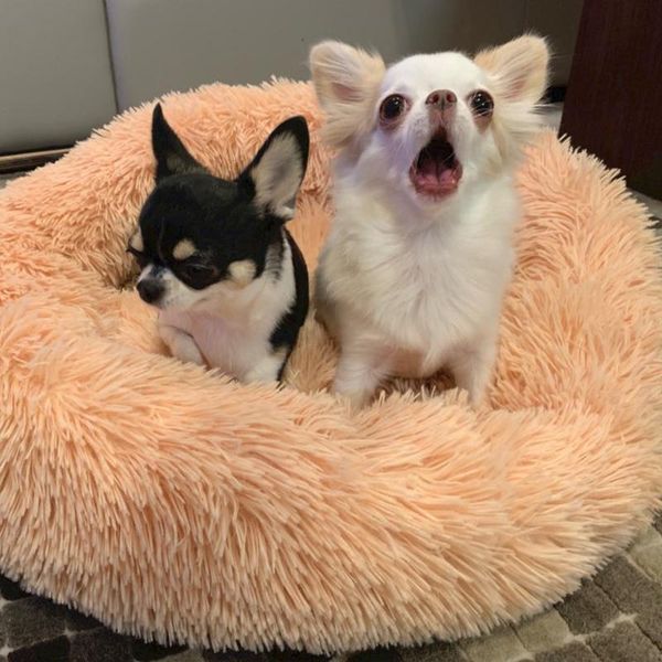

dropshipping round dog bed pet house bed for dogs basket products cushion dog pet mat house soft long plush accessories