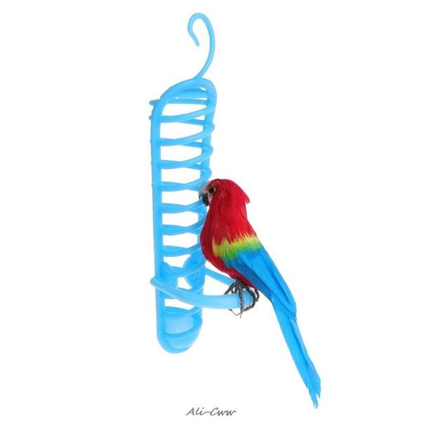 

other bird supplies parrot feeder basket fruit vegetable plastic feeding perch birds parakeet cage for small medium large