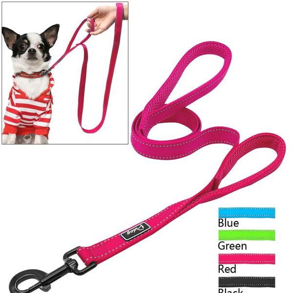 

2 handles nylon padded double handle leash for greater control for medium large dog dual padded handles protect dog in bbygzj