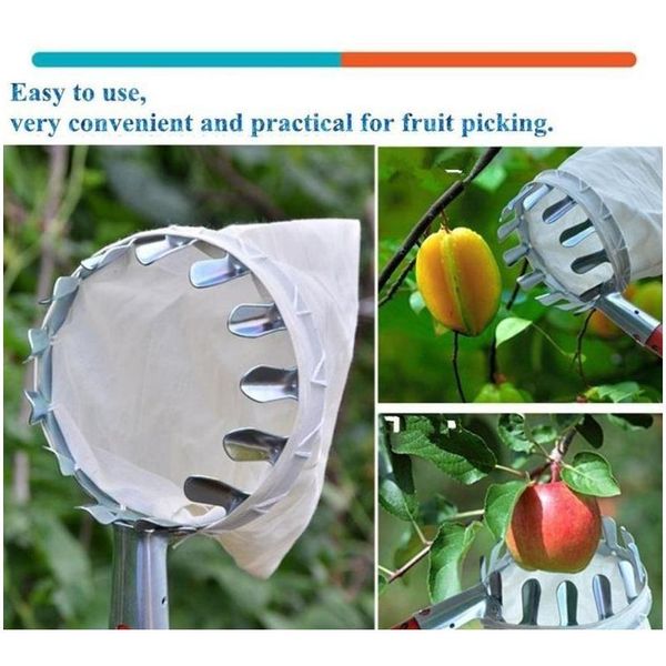 

metal fruit picker orchard gardening peach high tree picking tools without pole fruit catcher collector for garden bbytwb