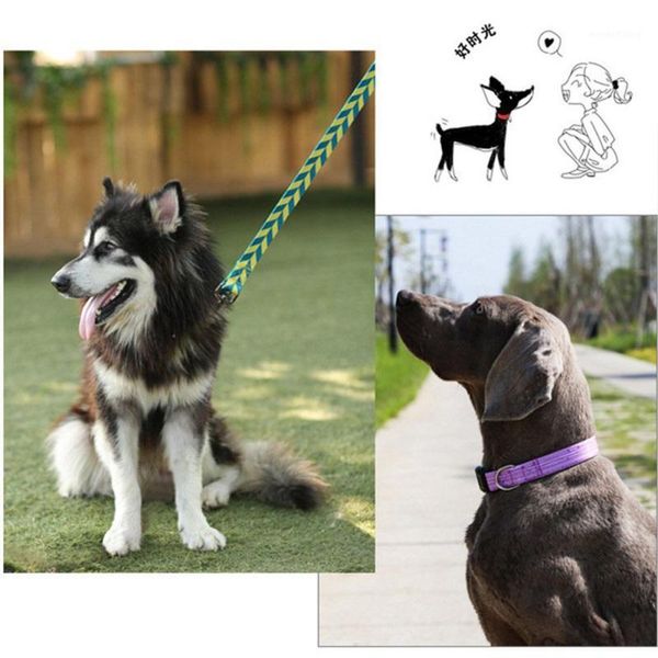 

pretty printed soft colorful pet dog collar for small medium large dogs neck strap adjustable safe puppy collar1