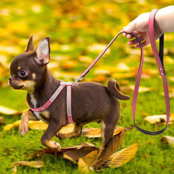 

bling rhinestone dog harness leather puppy cat harness vest leash set for small medium dog chihuahua pug yorkshire pet sqcuzh