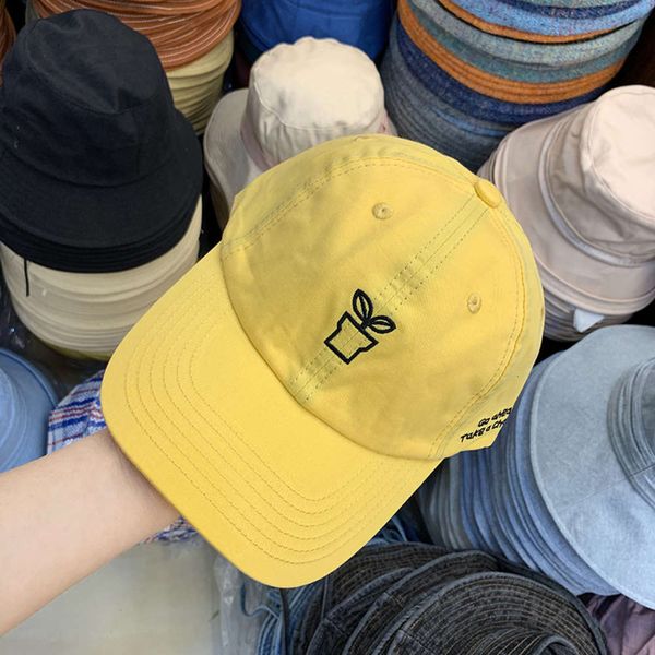

cute little potted cotton baseball cap for men and women, Blue;gray