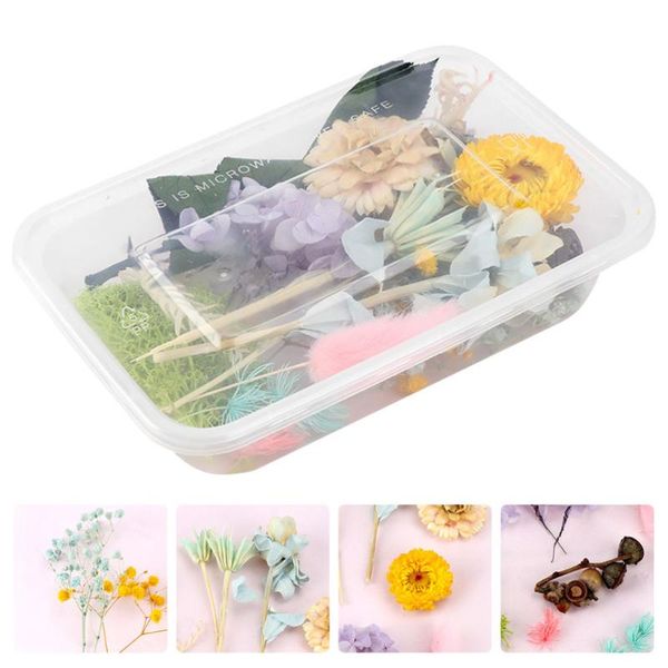 

1 set dried pressed flower craft decoration decorative dried flower natural dry flowers for home l room bar