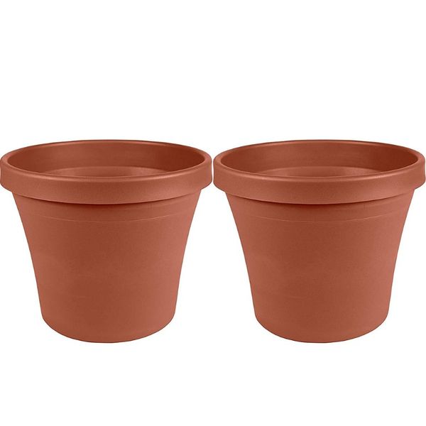 

2 шт. семена стартовой горшок цветочный растительный контейнер для суккулентов саженцы рамка настольные растения главная бонсай декор цветоч