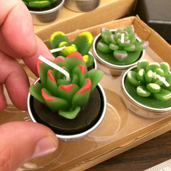 

1pc cactus candle creative succulent cactus candles flameless tea light candles decorative tealight for party wedding home wmtqjp petsyard
