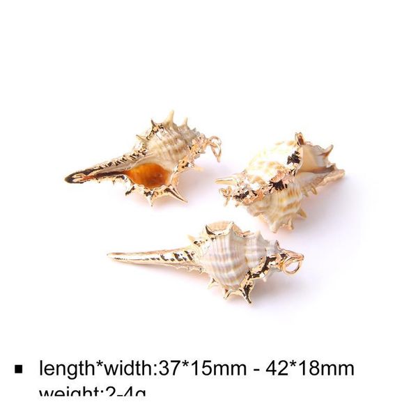 

12 styles 5pcs natural shell pendant conch shell charms pendant natural at random for diy jewelry necklaces making ac qylogq, Black