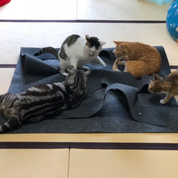 

cat beds & furniture 100*100cm pet toy durable holed blanket play mat hide and seek carpet with holes scratch-resistant kitten hiding house