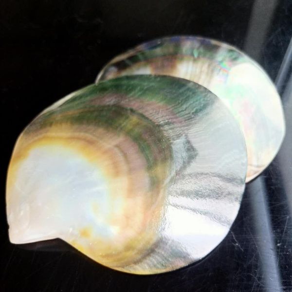 

90 100mm colorful sea shells mediterranean shells natural beach home decor shells for jewelry making ocean wedding decorations h jllmzz