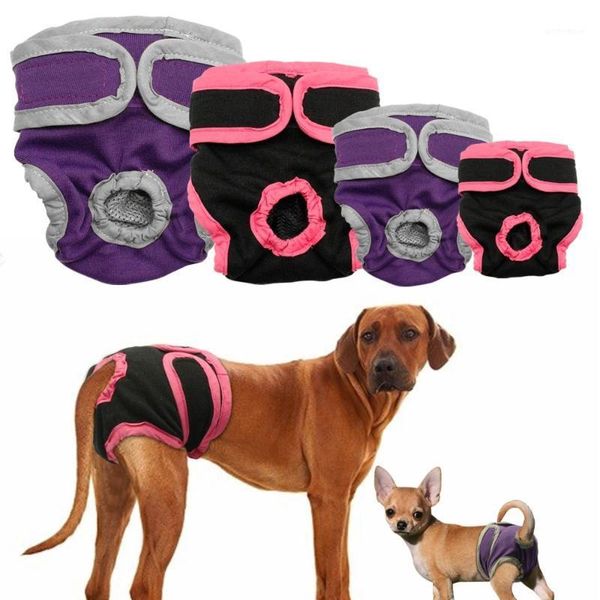 

dog apparel shorts s-xl diaper physiological pants washable pet panties underwear briefs for dogs supplies1